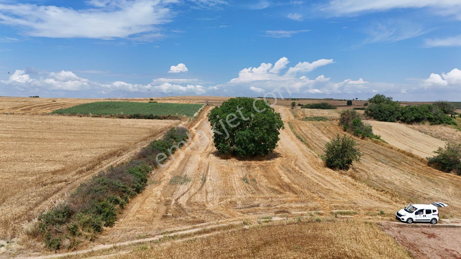 Resmi Yola Cephe Bağ Nitelikli Taşınmaz. Edirne Havza Şerbettar - Görsel 9