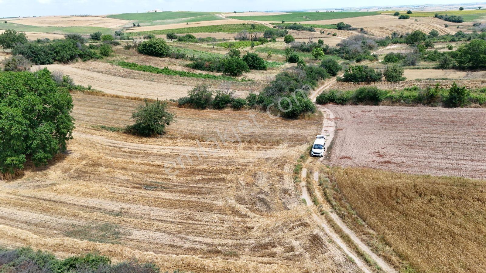 Resmi Yola Cephe Bağ Nitelikli Taşınmaz. Edirne Havza Şerbettar - Görsel 20