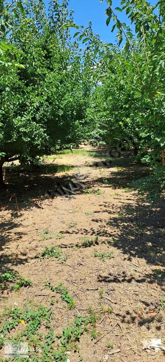 Şekercioğ'ndan Aksa'ya Komşu Satılık 3000m² Yatırımlık Arsa - Görsel 5