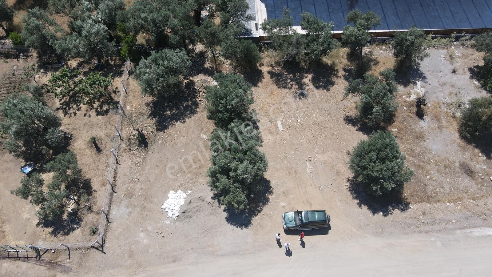 Zeytinli Köy Yolu Arkası-istisnalardan Köşe Parsel Satılık Arsa - Görsel 2