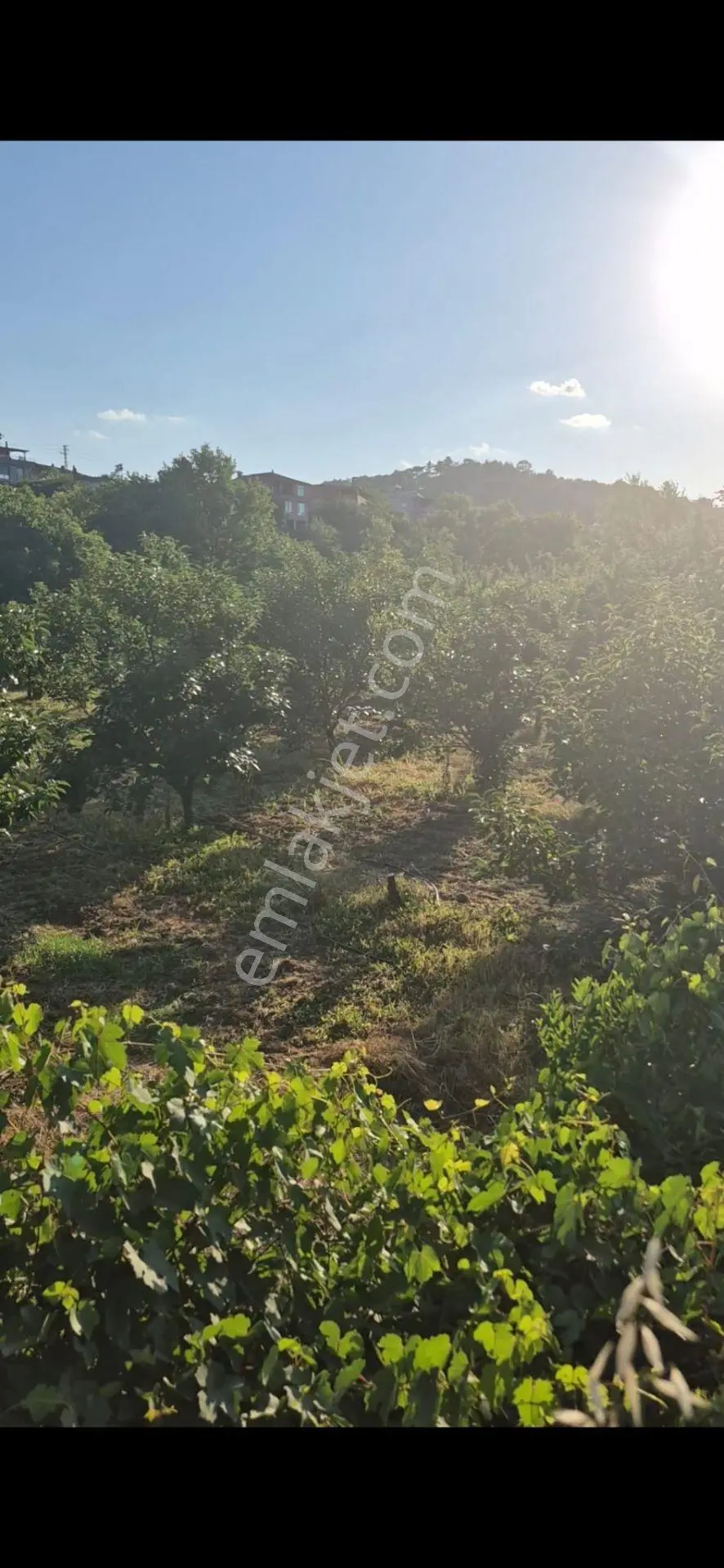 Çanakkale Bayramiç Evciler Köyü'nde Satılık Köyiçi İmarlı Arsa - Görsel 5