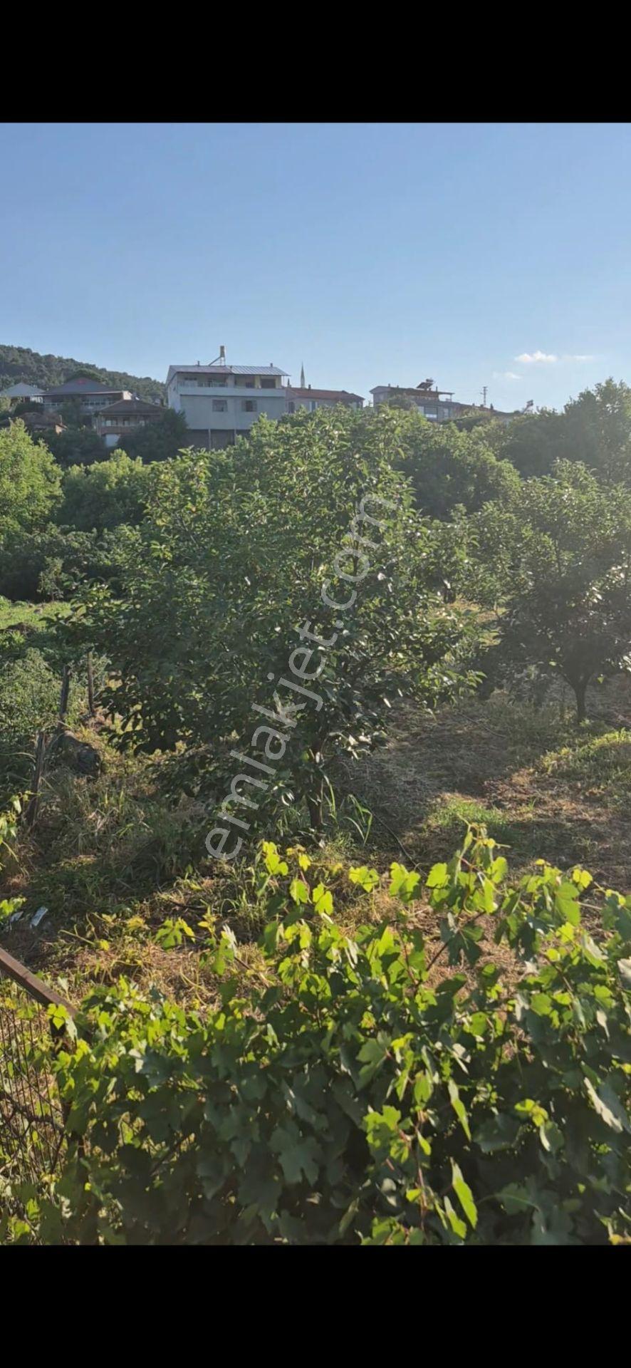 Çanakkale Bayramiç Evciler Köyü'nde Satılık Köyiçi İmarlı Arsa - Görsel 3