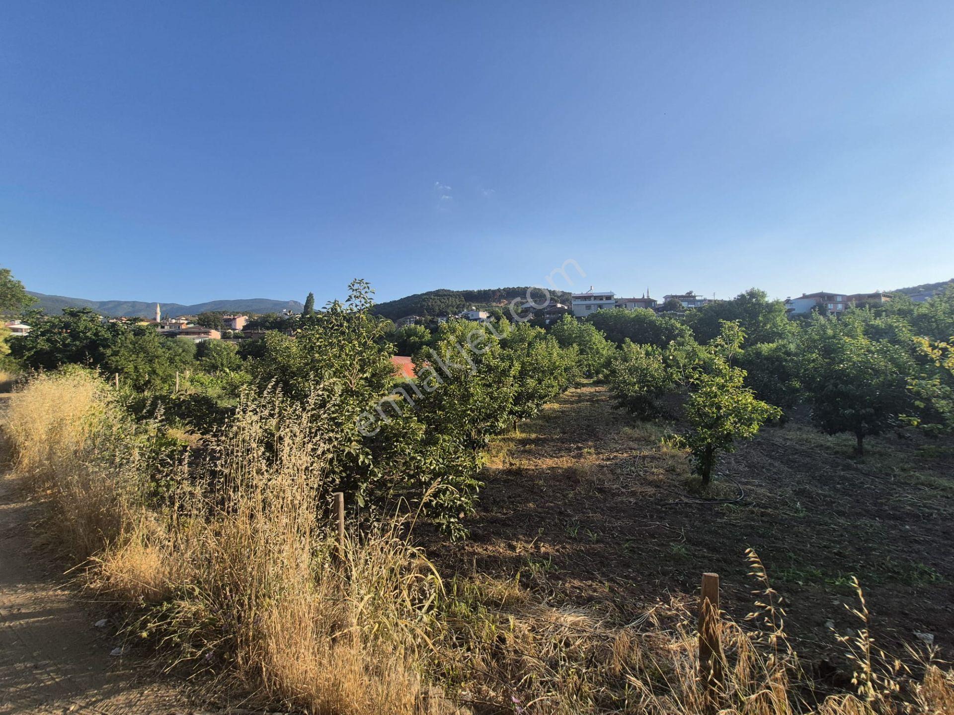 Çanakkale Bayramiç Evciler Köyü'nde Satılık Köyiçi İmarlı Arsa - Görsel 8