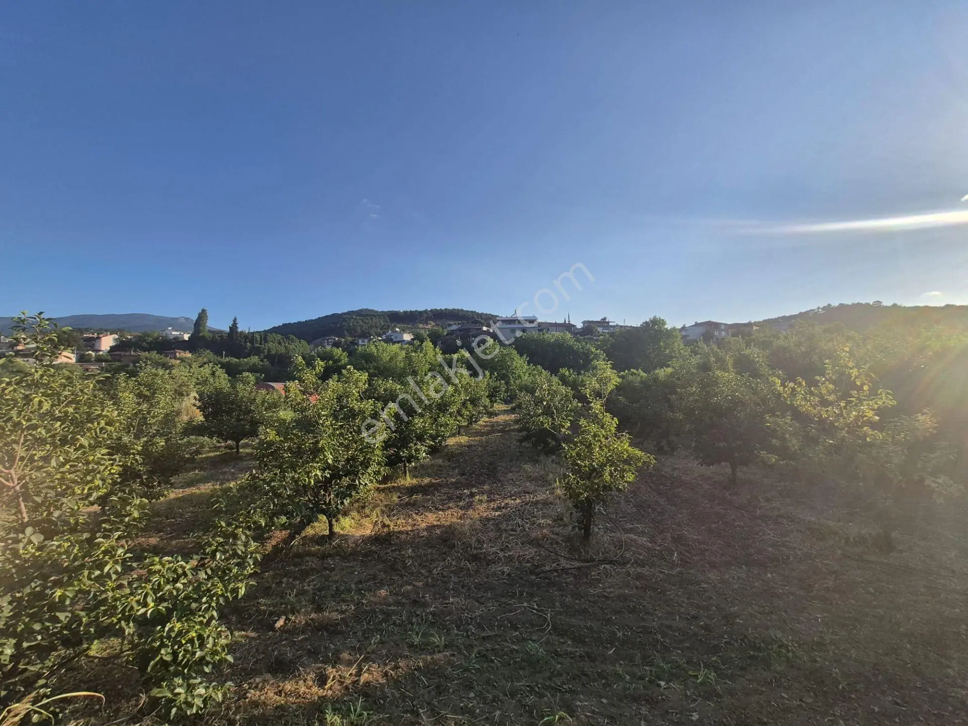 Çanakkale Bayramiç Evciler Köyü'nde Satılık Köyiçi İmarlı Arsa