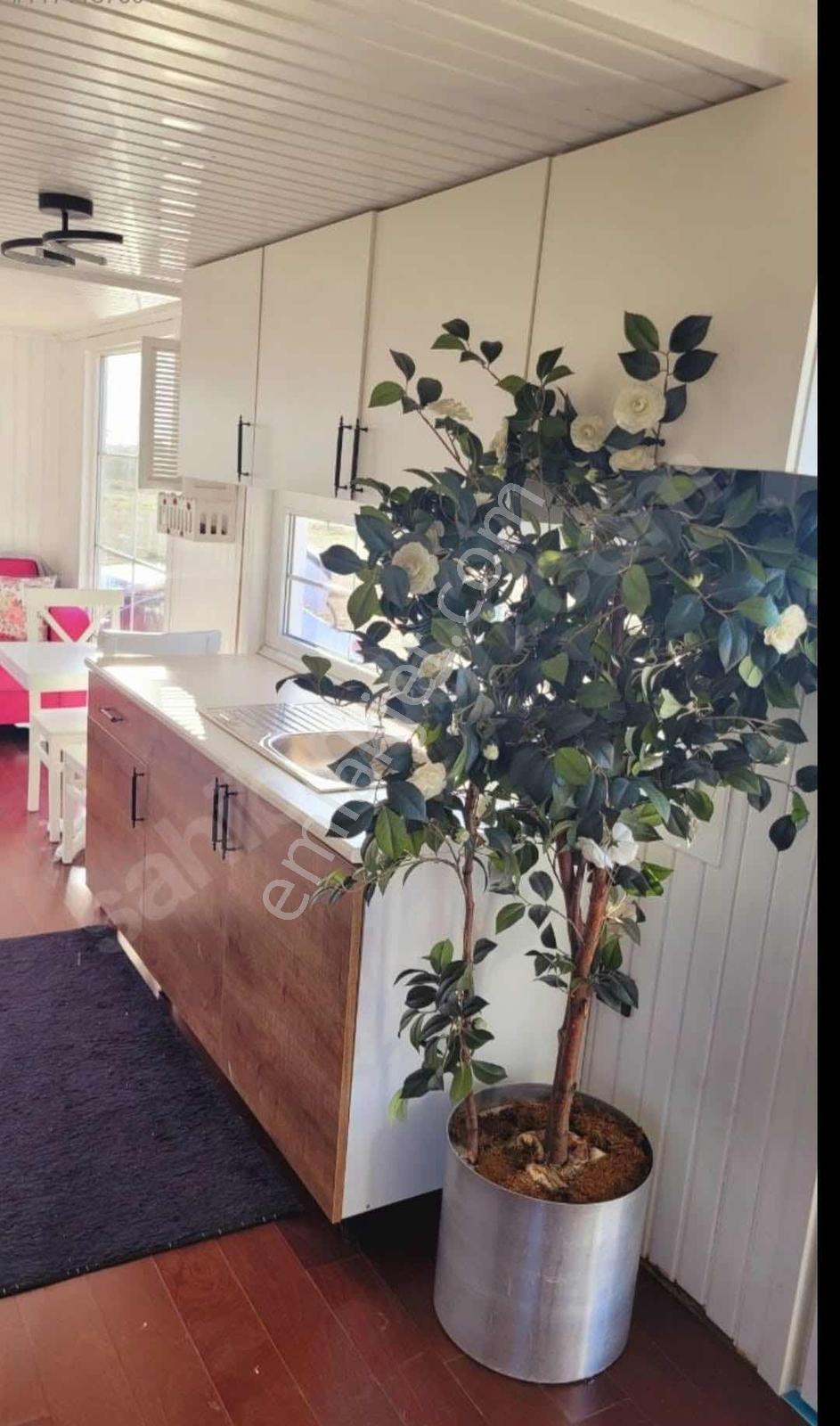 Sosyal Tiny House Köyünde 10mt Tiny House Ve 400m2 Arsa - Görsel 2