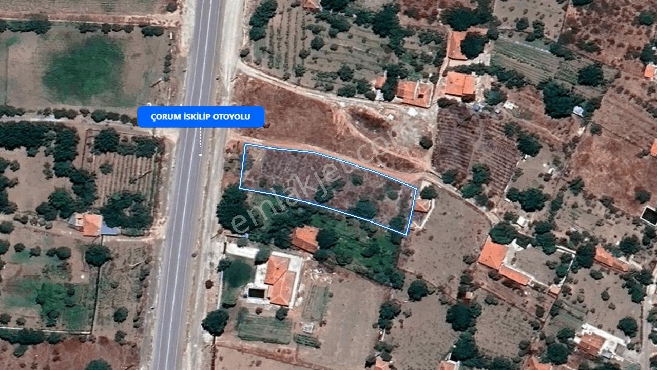 Çorum Altınbaşta 1483 M² Anayola Cephe Satılık Bağ - Görsel 17