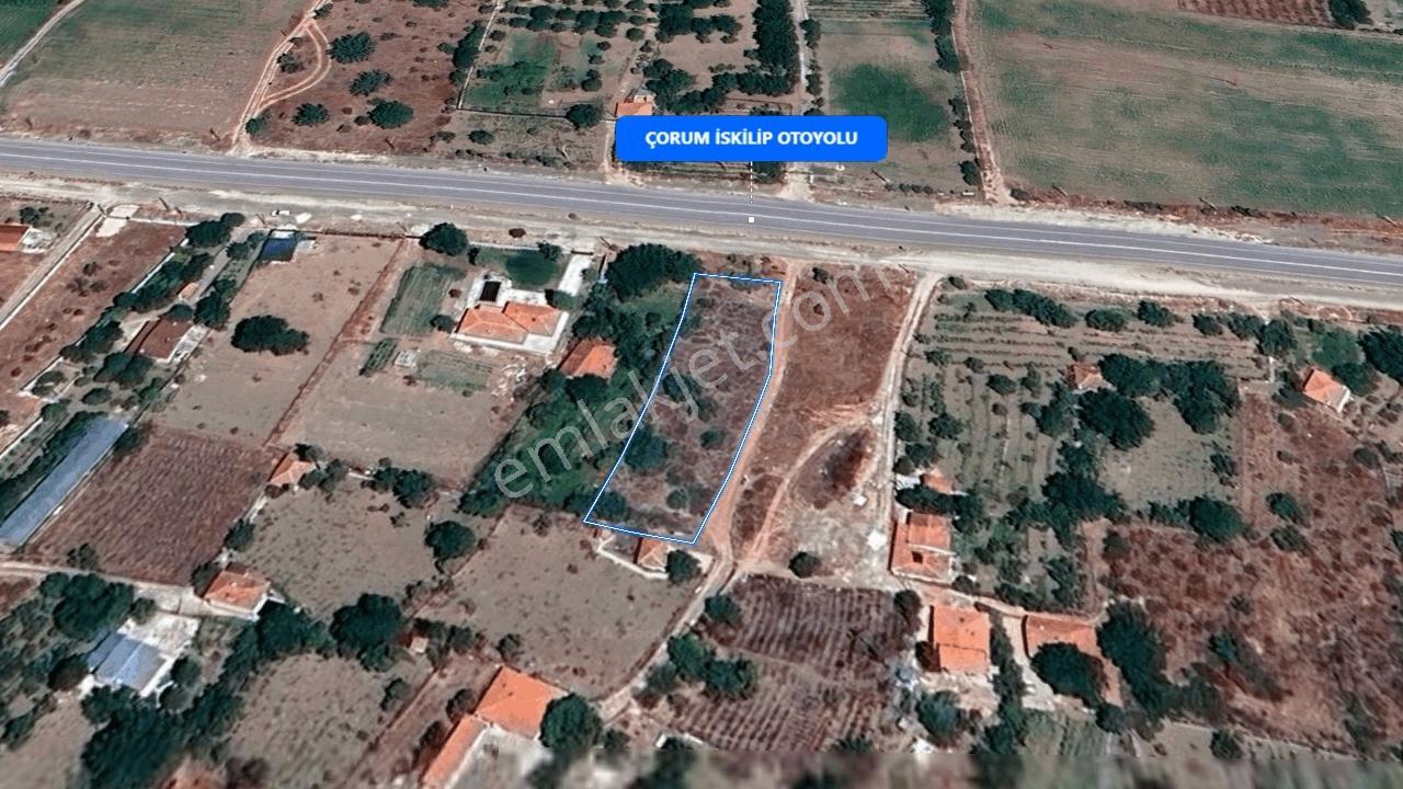 Çorum Altınbaşta 1483 M² Anayola Cephe Satılık Bağ - Görsel 15
