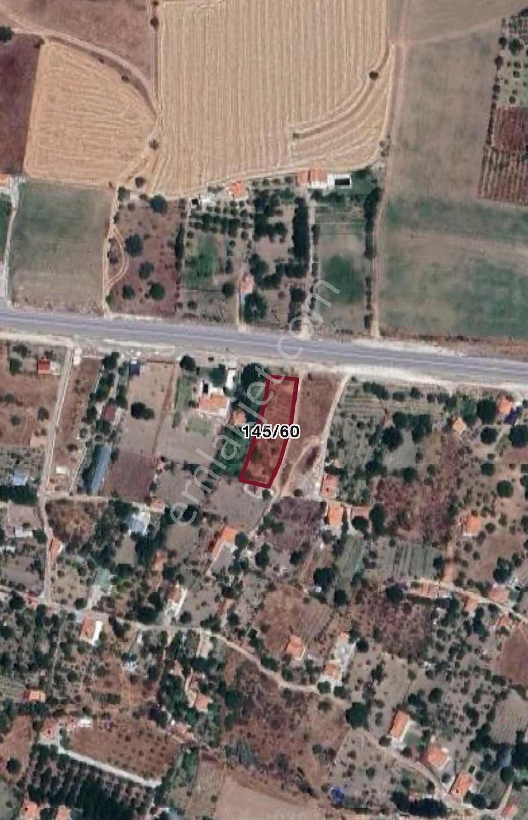 Çorum Altınbaşta 1483 M² Anayola Cephe Satılık Bağ - Görsel 4
