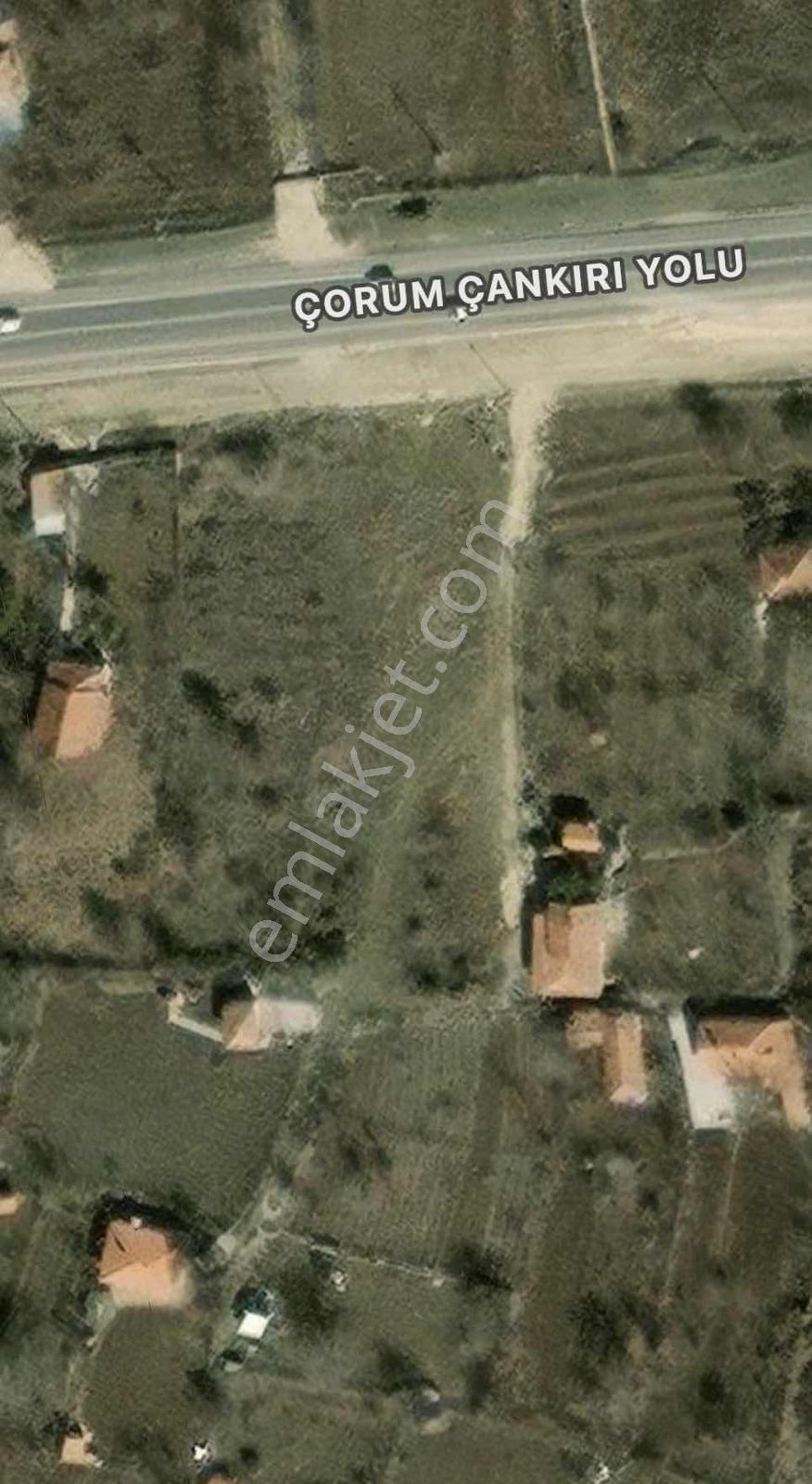 Çorum Altınbaşta 1483 M² Anayola Cephe Satılık Bağ - Görsel 9
