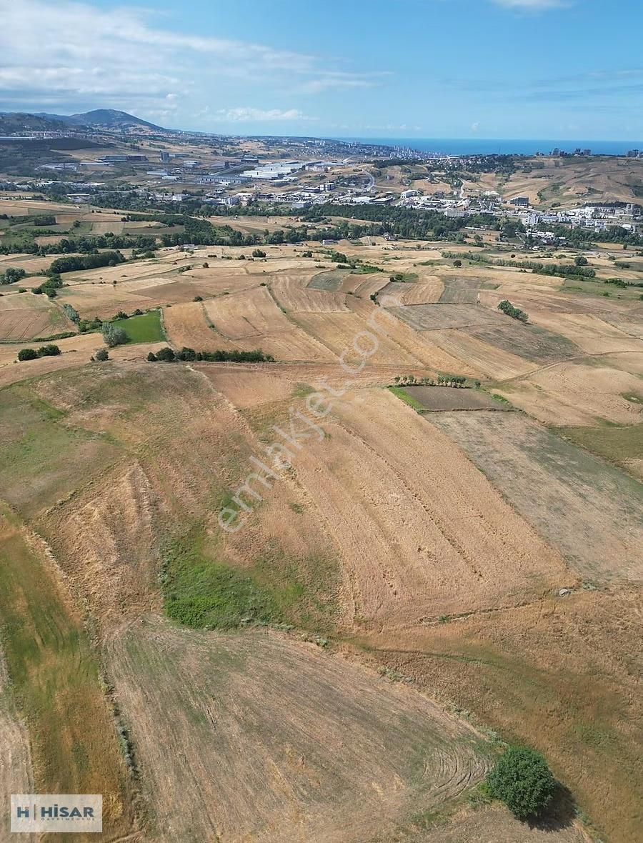 Hisar'dan Uzgur Da Tek Tapu Deniz Manzaralı Satılık Tarla - Görsel 5