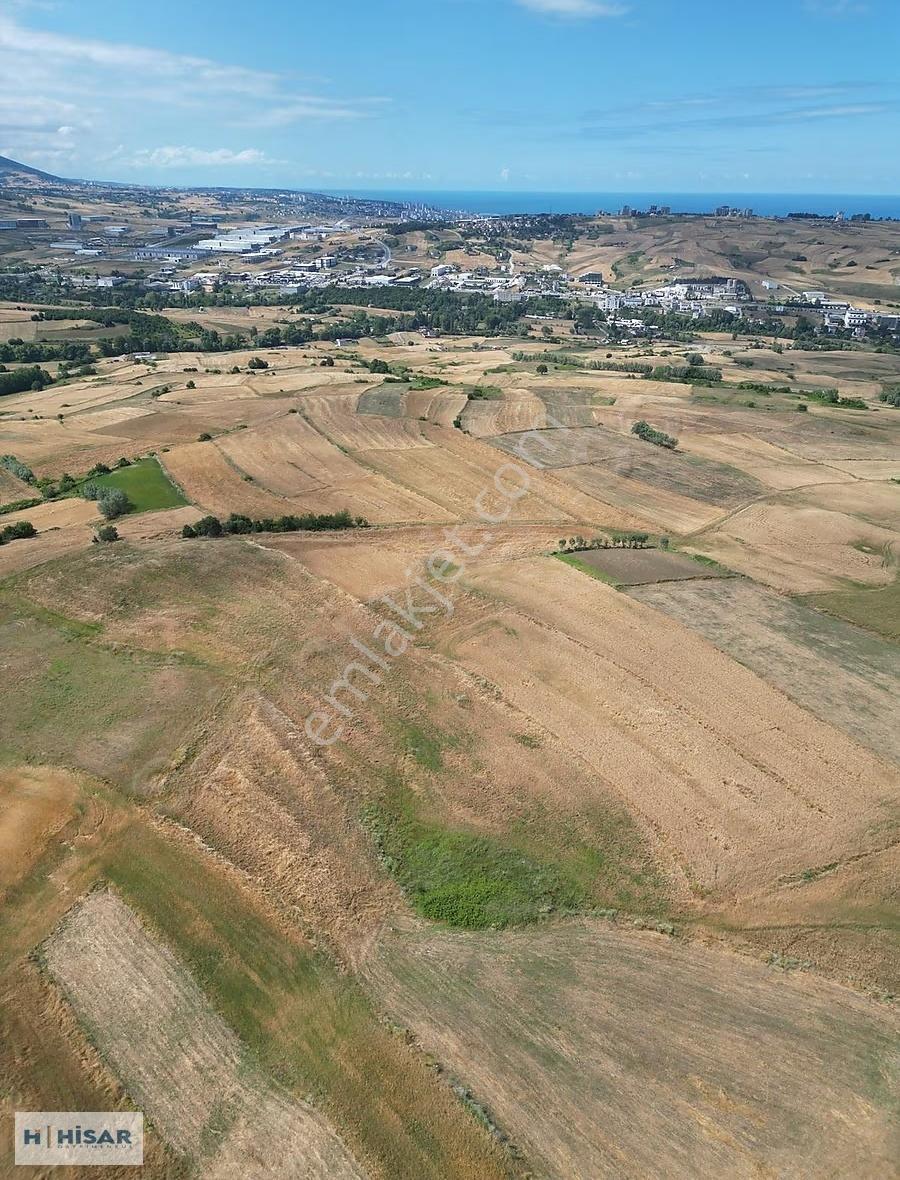 Hisar'dan Uzgur Da Tek Tapu Deniz Manzaralı Satılık Tarla - Görsel 10