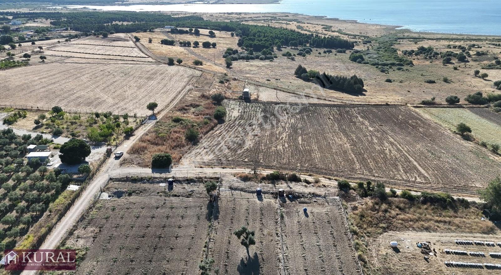 İzmir Menderes Şaşalda Baraj Manzaralı Hisse Tapulu Bahçeler - Görsel 5