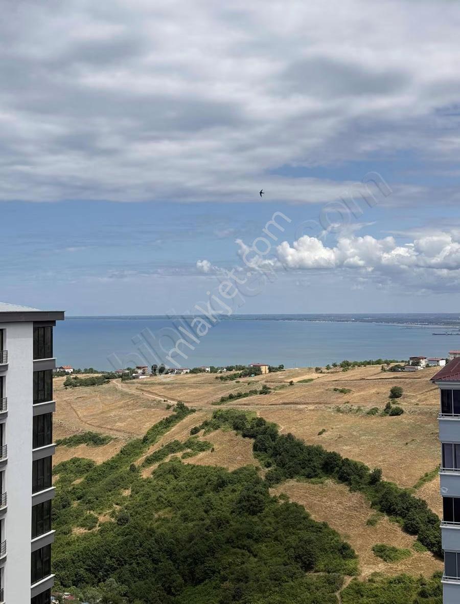 Hasköy Meşe Tesislerinde Satılık Fırsat Dubleks Daire - Görsel 3