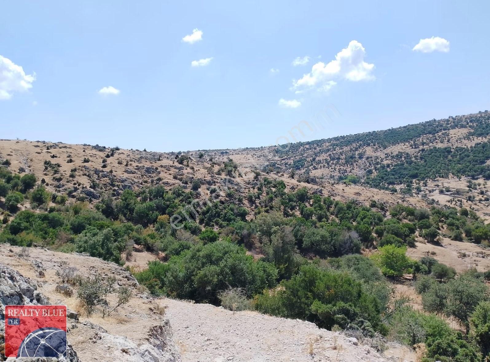 Çanakkale|ayvacık|çınarpınar Köyü-tospat Mevkinde Satılık Tarla