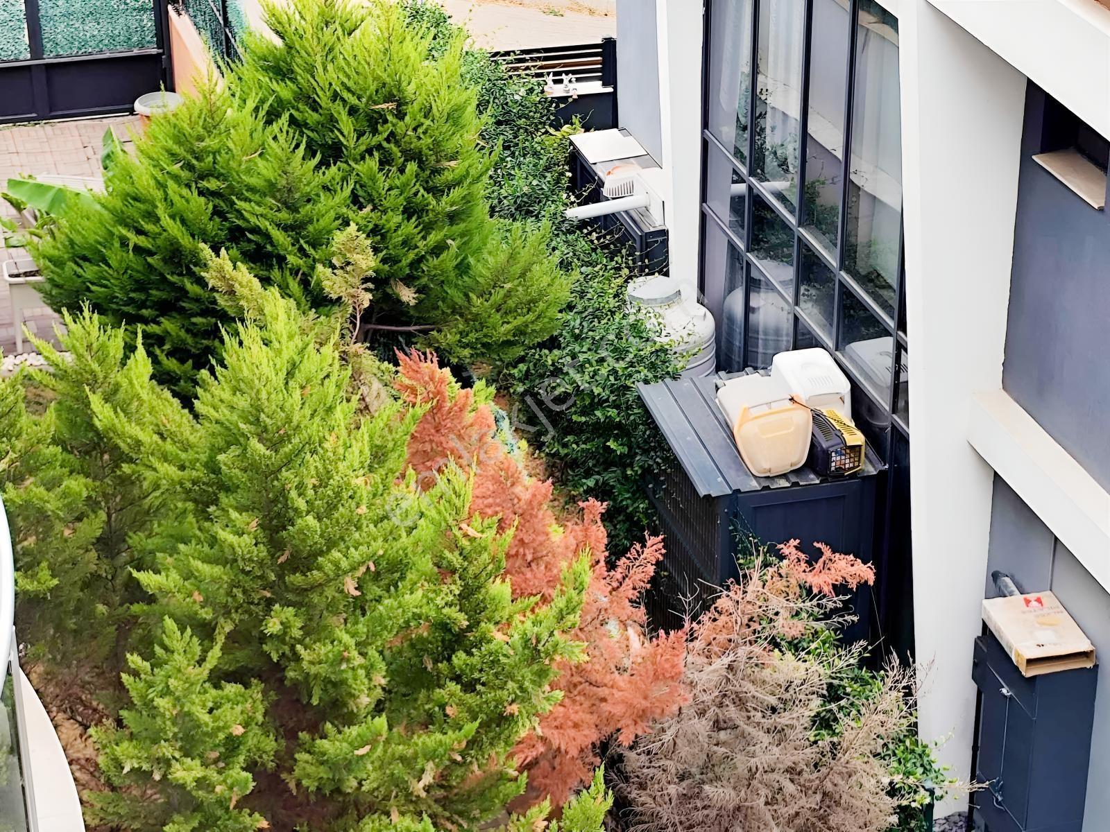 Güzelbahçede 5+1 Kiralık Villa - Görsel 21