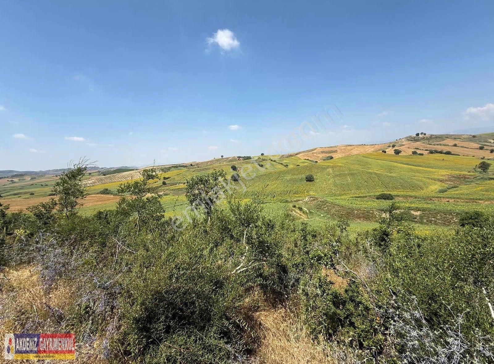 Cazip Kelepir Arsa 5800m2 - Görsel 10