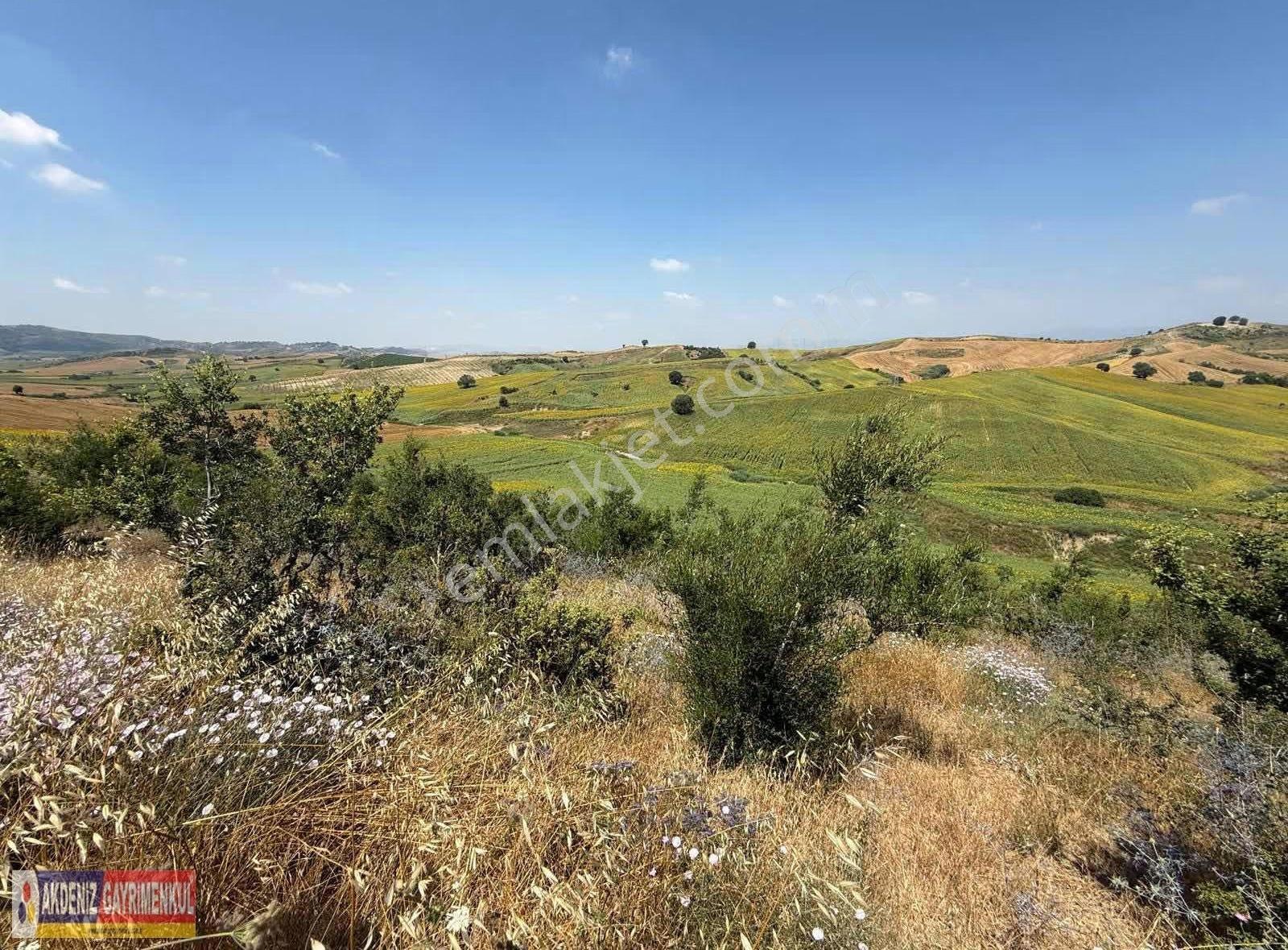 Cazip Kelepir Arsa 5800m2 - Görsel 8