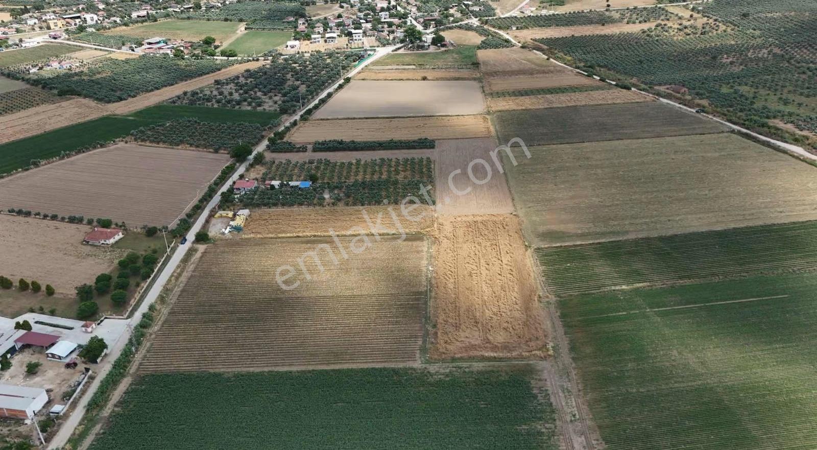 Pek Emlaktan Eskiobada 4700 M2 Müstakil Parsel Satılık Tarla - Görsel 3