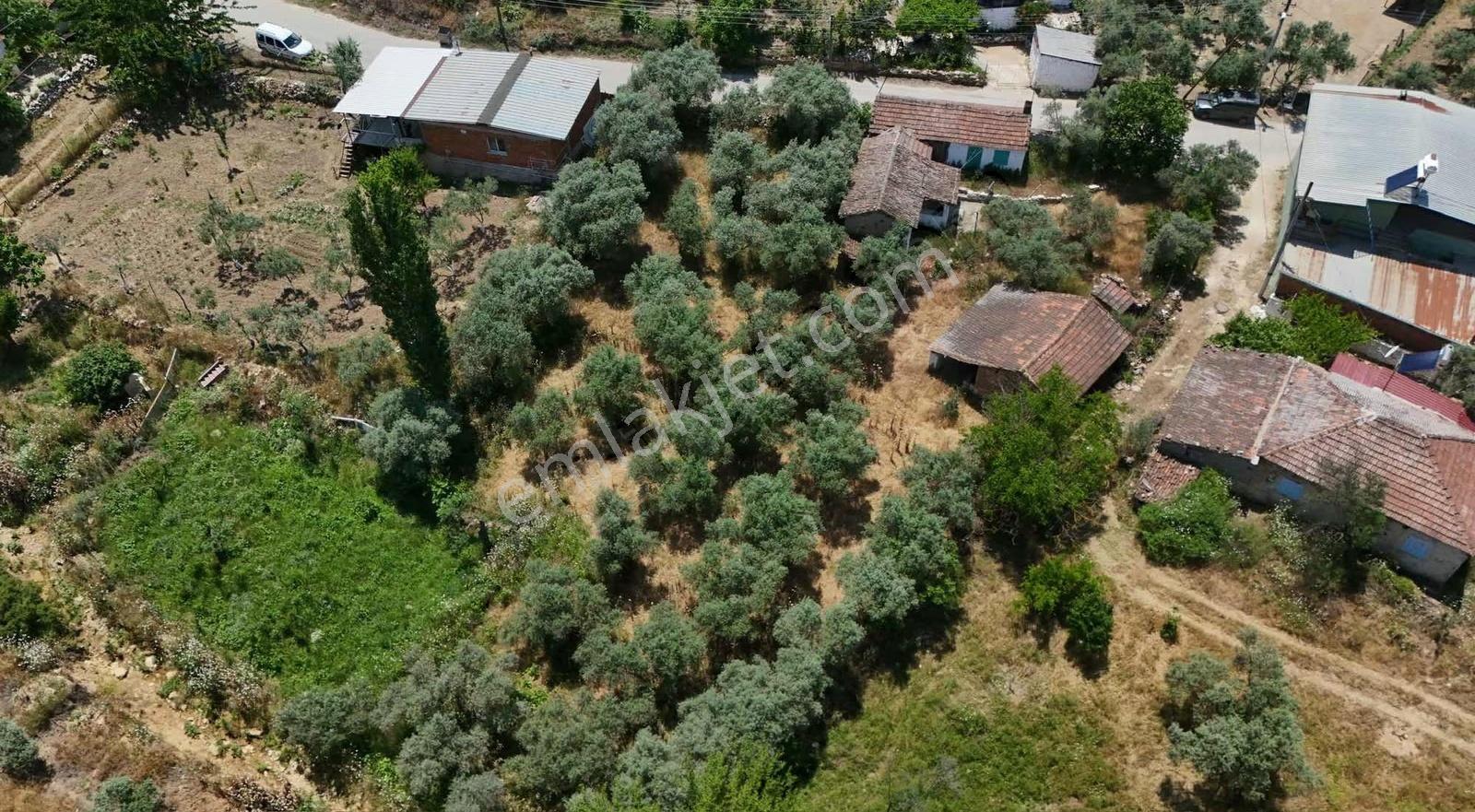 Pek Emlaktan Ayaklıkırı Nda 1225 M2 Satılık Müstakil Ev - Görsel 10