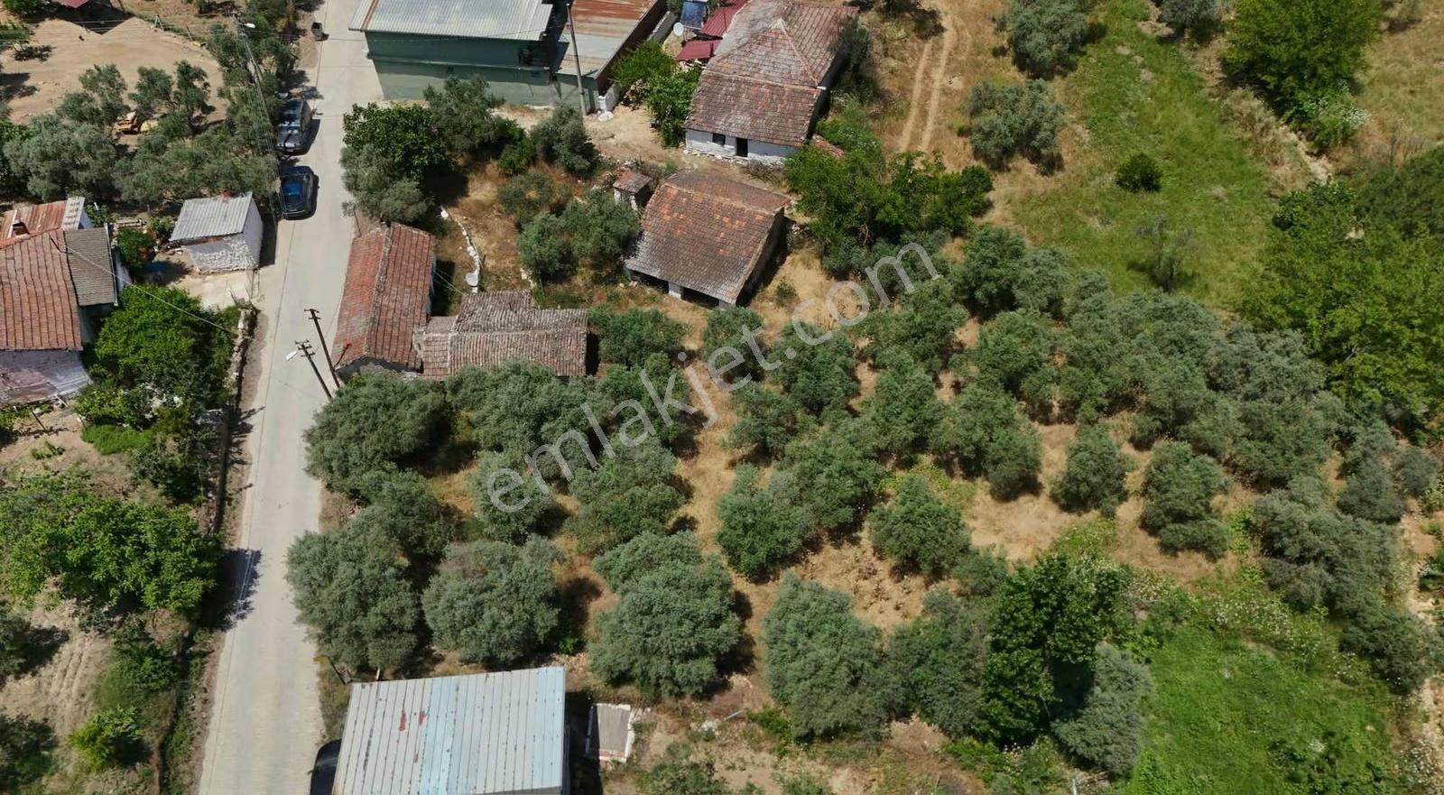 Pek Emlaktan Ayaklıkırı Nda 1225 M2 Satılık Müstakil Ev - Görsel 3