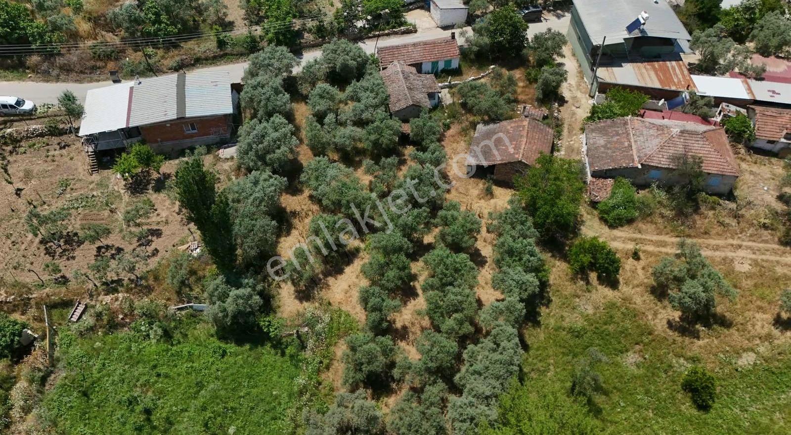 Pek Emlaktan Ayaklıkırı Nda 1225 M2 Satılık Müstakil Ev - Görsel 7