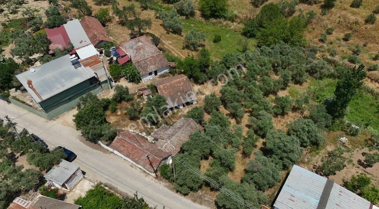 Pek Emlaktan Ayaklıkırı Nda 1225 M2 Satılık Müstakil Ev - Görsel 5