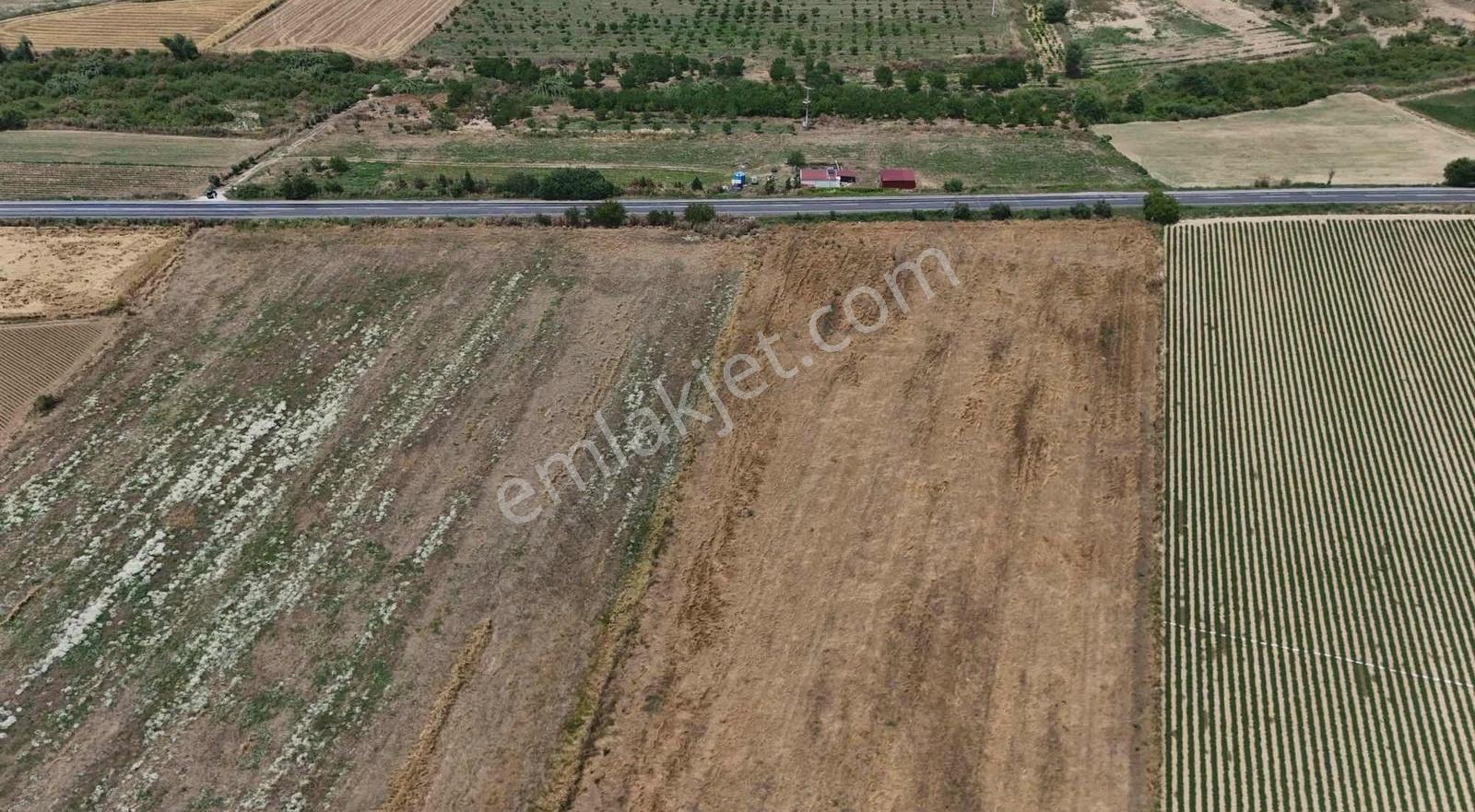 Pek Emlaktan İzmirtire Otoyolu Yanı Satılık Elektrik Sulu Tarla - Görsel 9