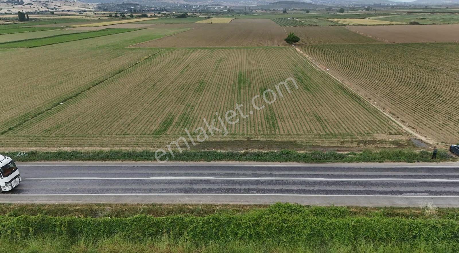 Pek Emlaktan İzmir Tire Asfaltına Cepheli 6,950m2 Satılık Tarla - Görsel 12