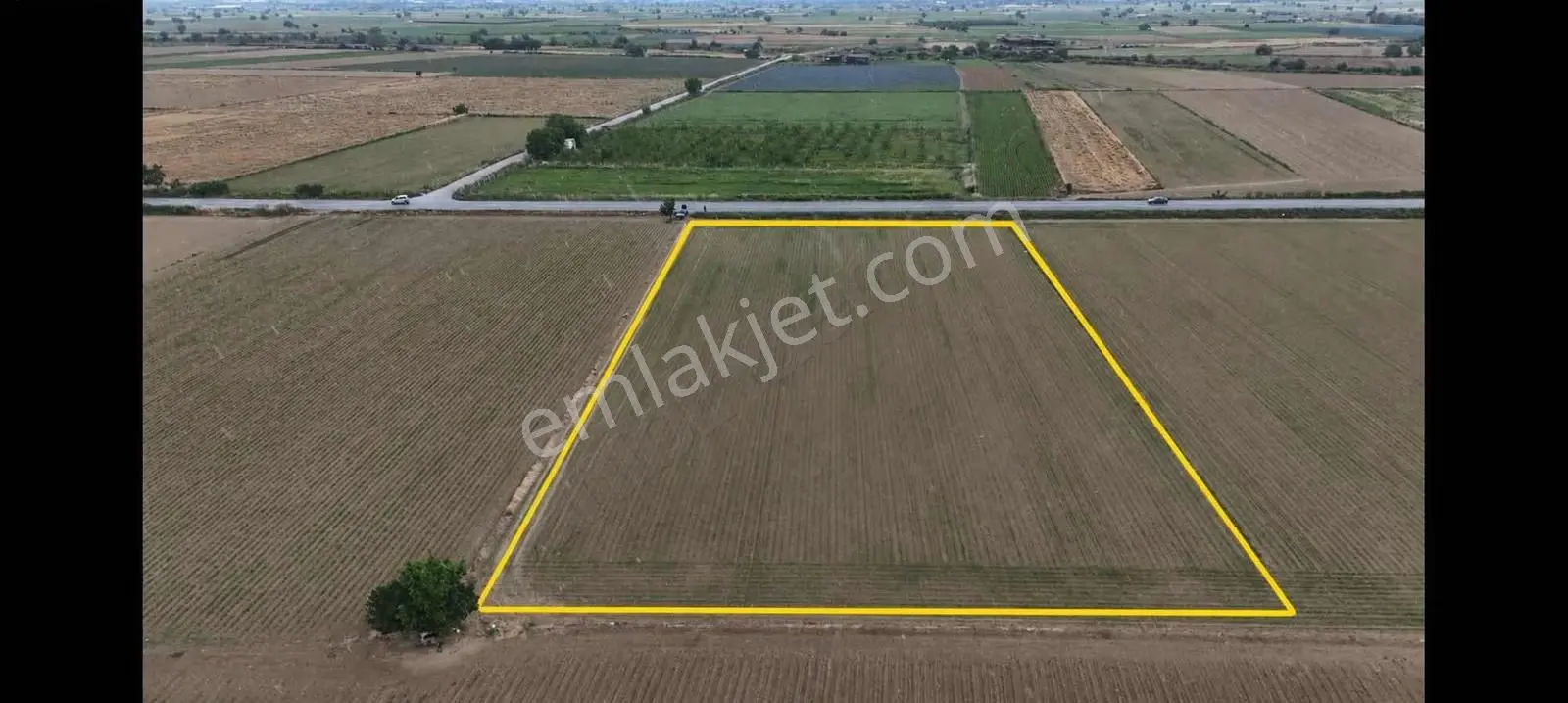Pek Emlaktan İzmir Tire Asfaltına Cepheli 6,950m2 Satılık Tarla