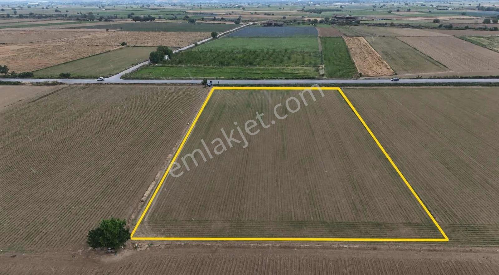 Pek Emlaktan İzmir Tire Asfaltına Cepheli 6,950m2 Satılık Tarla - Görsel 3