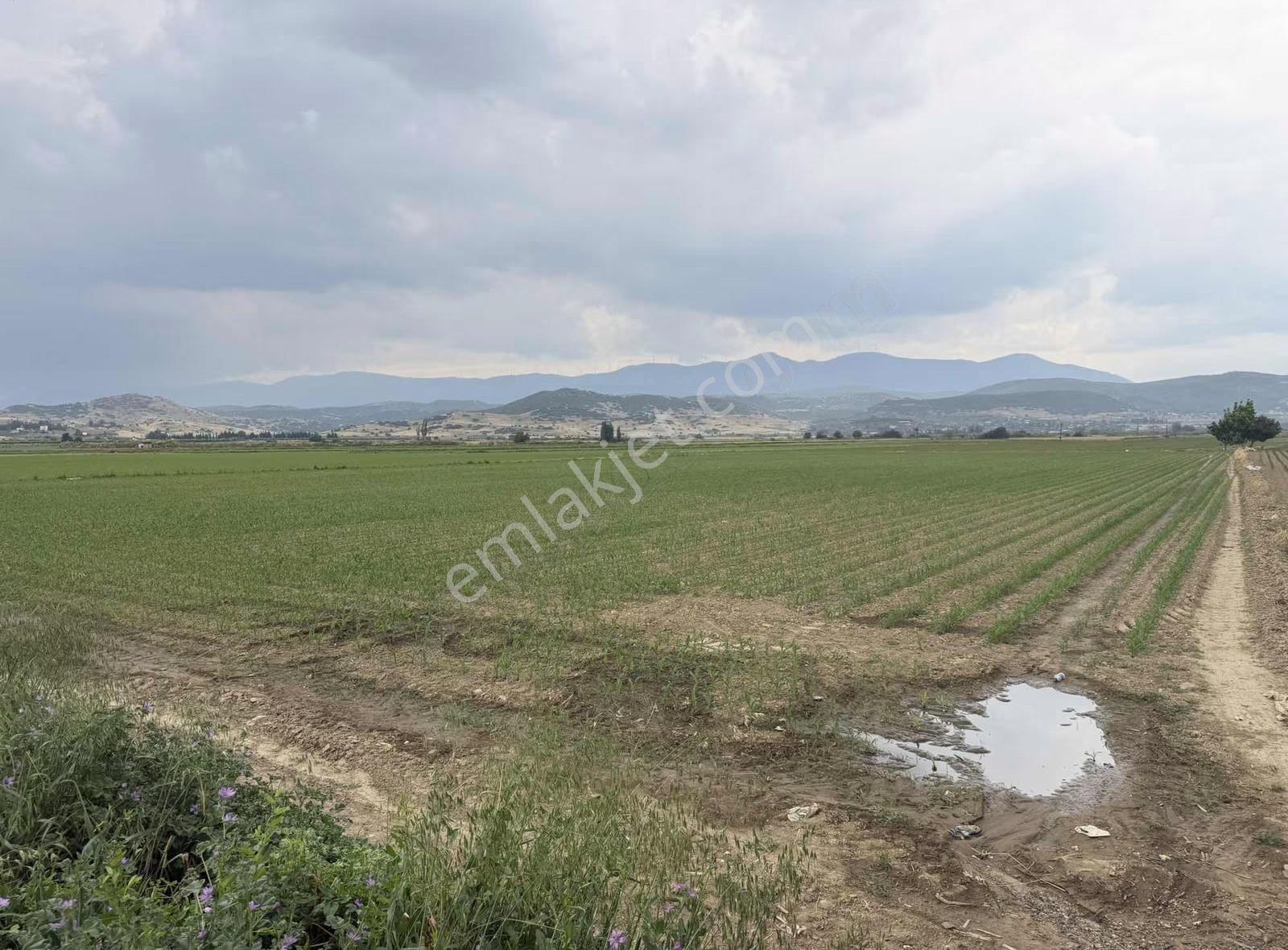 Pek Emlaktan İzmir Tire Asfaltına Cepheli 6,950m2 Satılık Tarla - Görsel 11