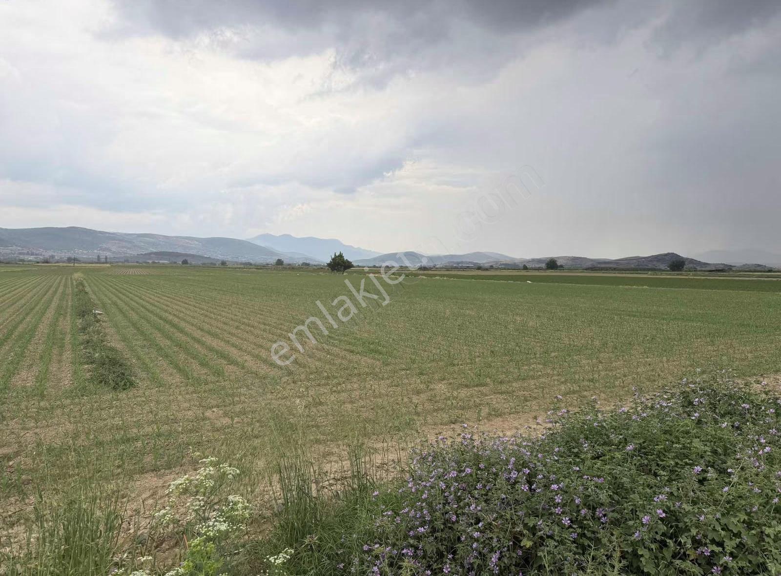 Pek Emlaktan İzmir Tire Asfaltına Cepheli 6,950m2 Satılık Tarla - Görsel 8