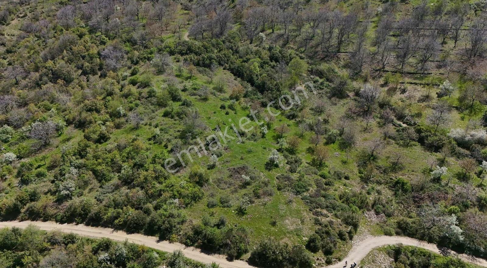 Pek Emlaktan 18.442m2yol Kenar Hafifmeğili Satılık Meyve Bahçesi - Görsel 23