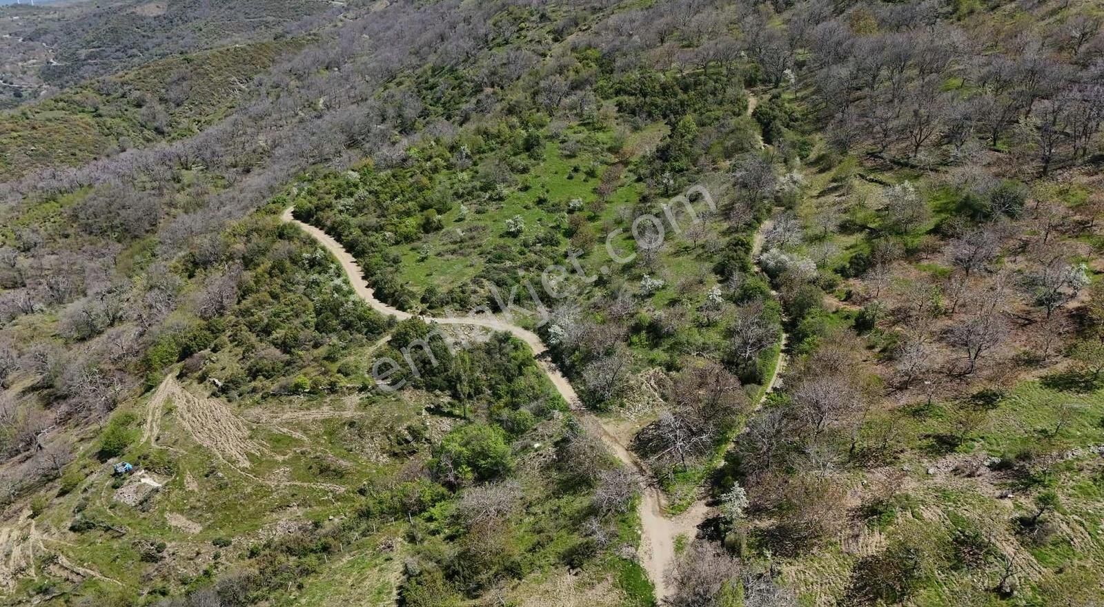 Pek Emlaktan 18.442m2yol Kenar Hafifmeğili Satılık Meyve Bahçesi - Görsel 22