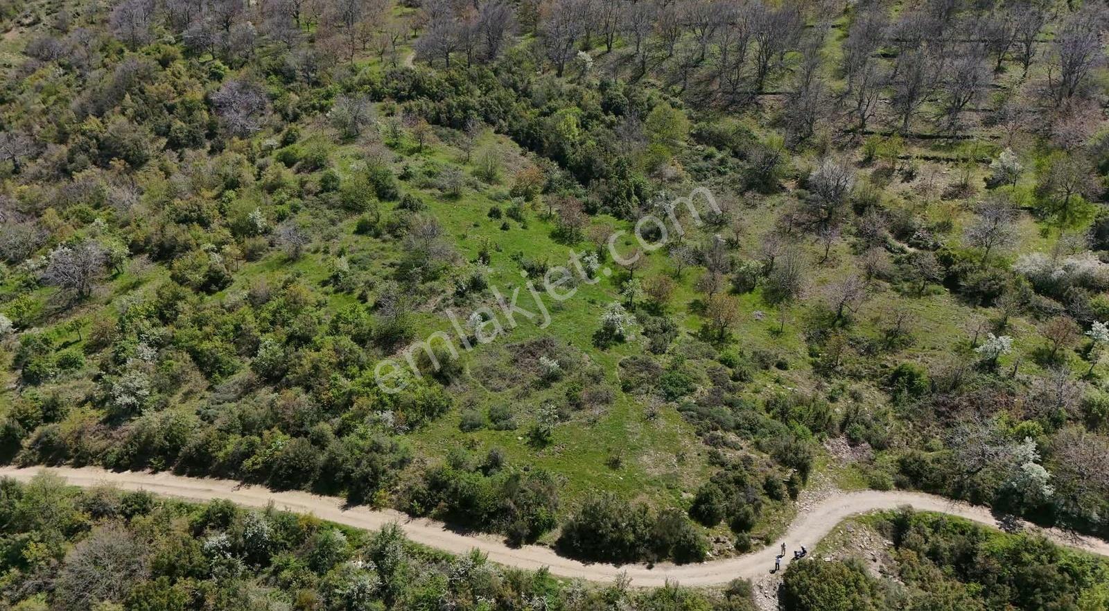 Pek Emlaktan 18.442m2yol Kenar Hafifmeğili Satılık Meyve Bahçesi - Görsel 25