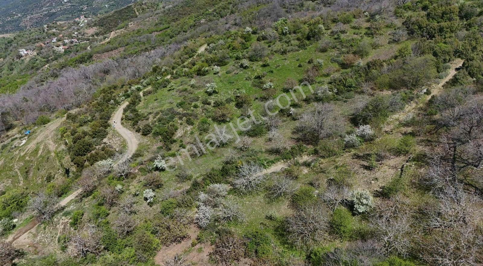 Pek Emlaktan 18.442m2yol Kenar Hafifmeğili Satılık Meyve Bahçesi - Görsel 32