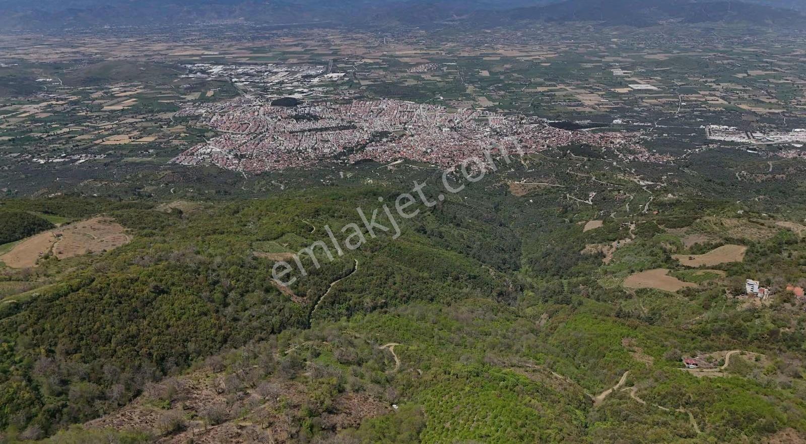 Pek Emlaktan 18.442m2yol Kenar Hafifmeğili Satılık Meyve Bahçesi - Görsel 11