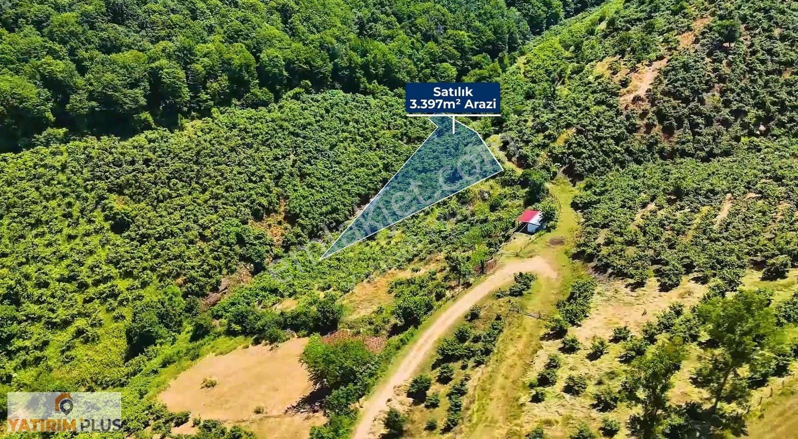 Yatırım Plus Gayrimenkulden Atakum Kurugökçede Fırsat Tarla - Görsel 2