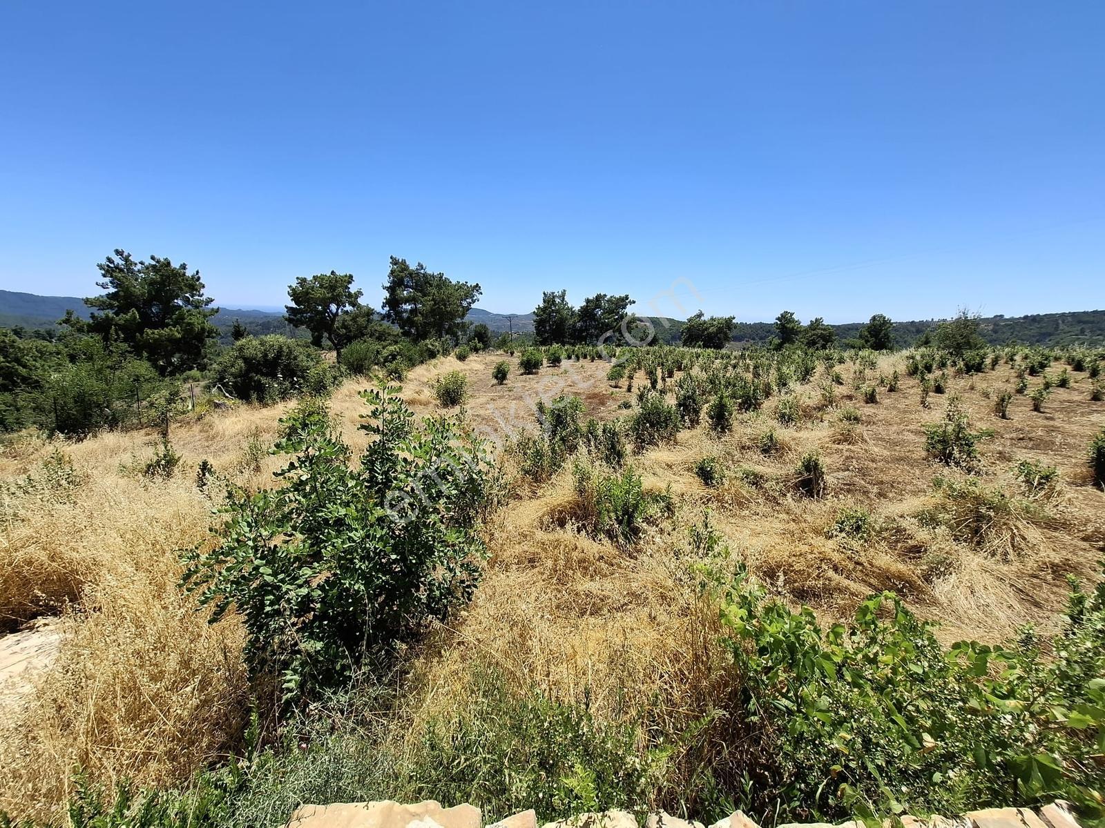 Antalya Manavgat'gebece Köyü'hona Mevkii Satılık Tek Tapu Tarla. - Görsel 16