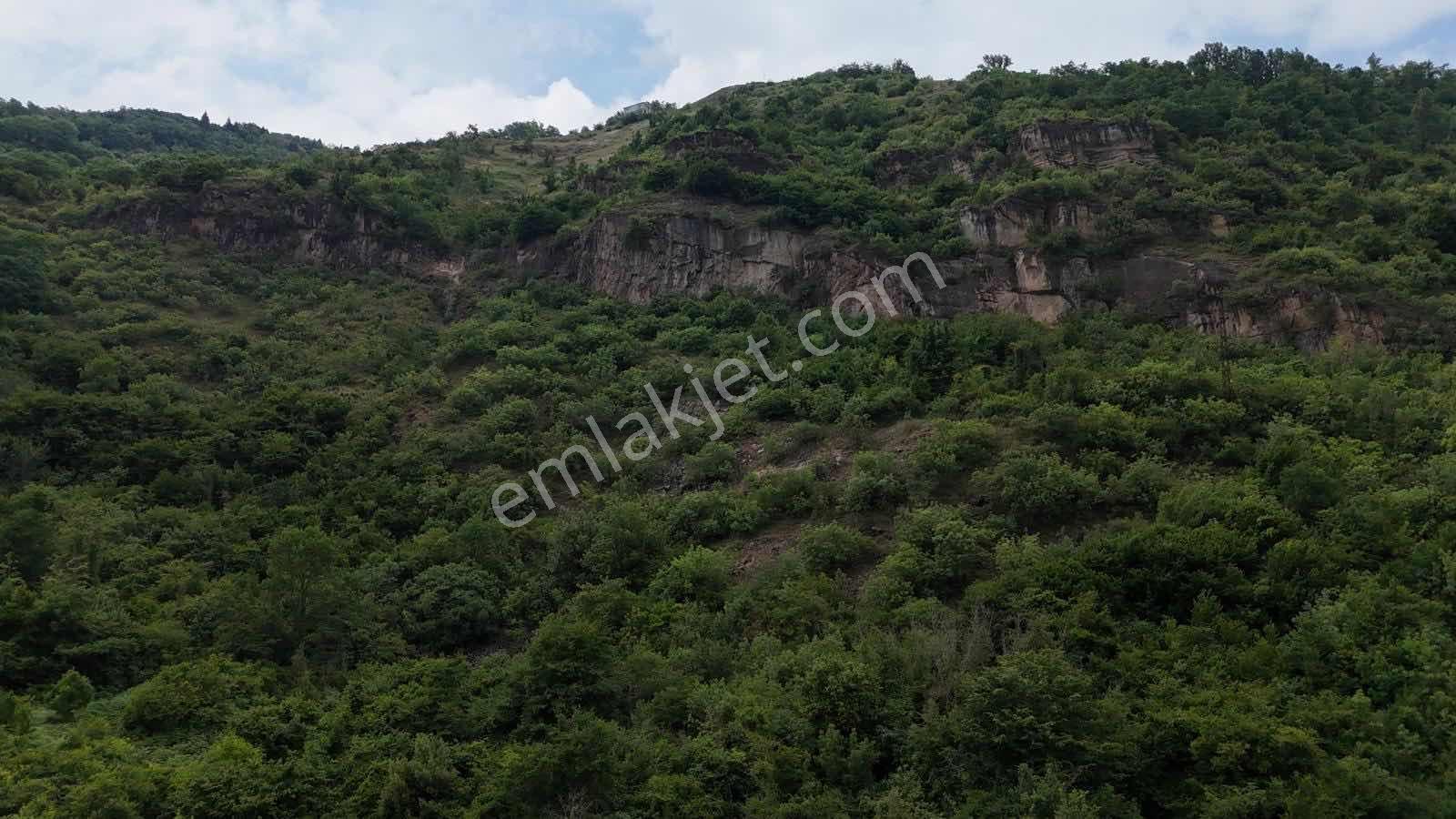 Esiroğlu'nda Satılık 3346 M2 Arsa - Görsel 16