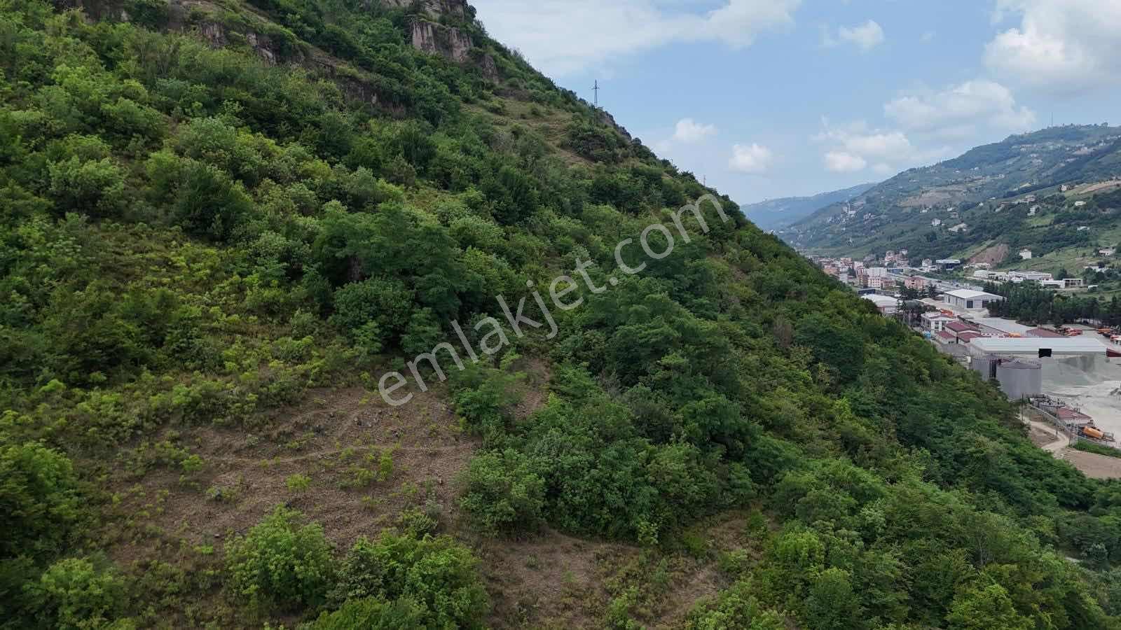 Esiroğlu'nda Satılık 3346 M2 Arsa - Görsel 2