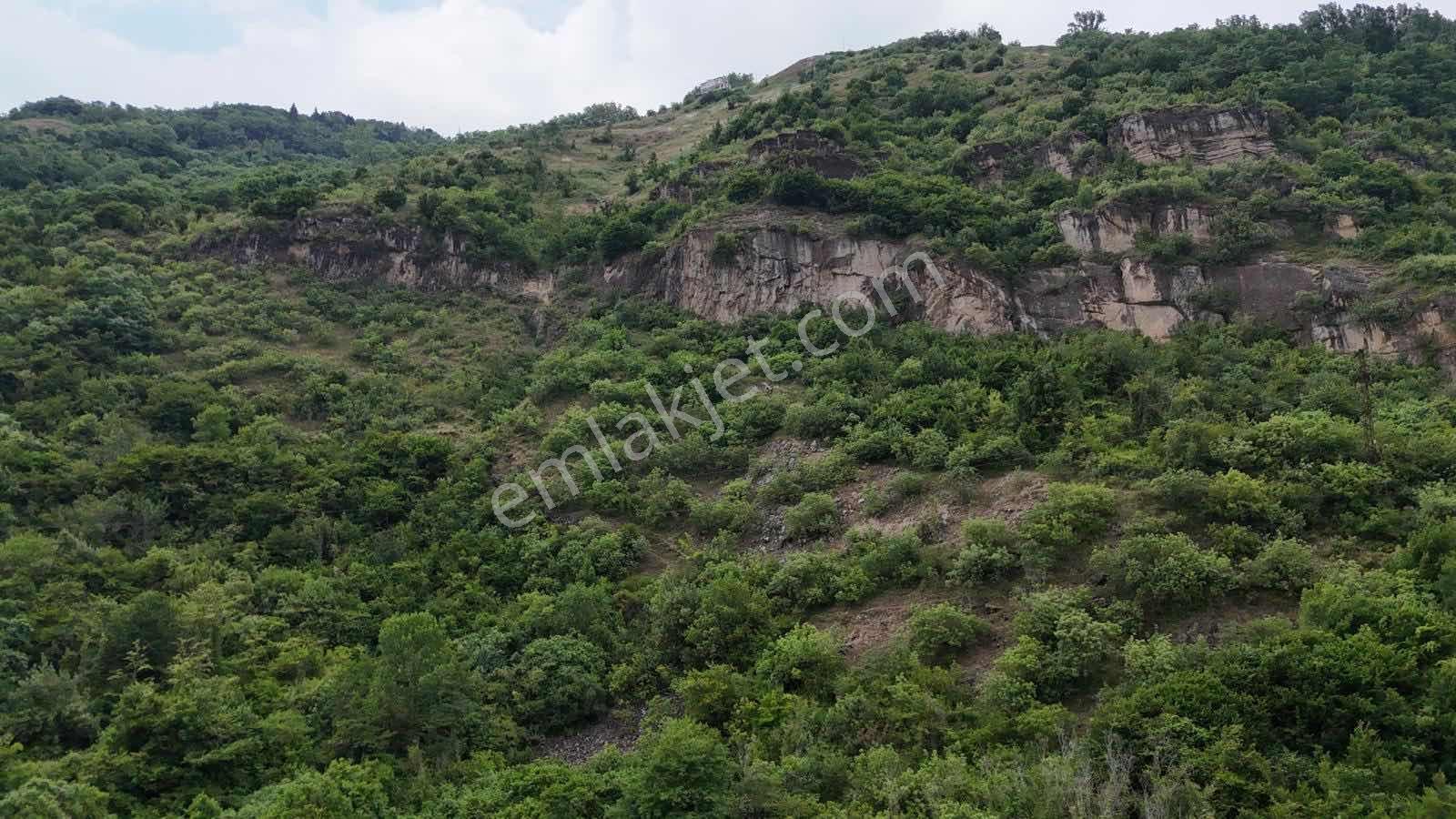 Esiroğlu'nda Satılık 3346 M2 Arsa - Görsel 8