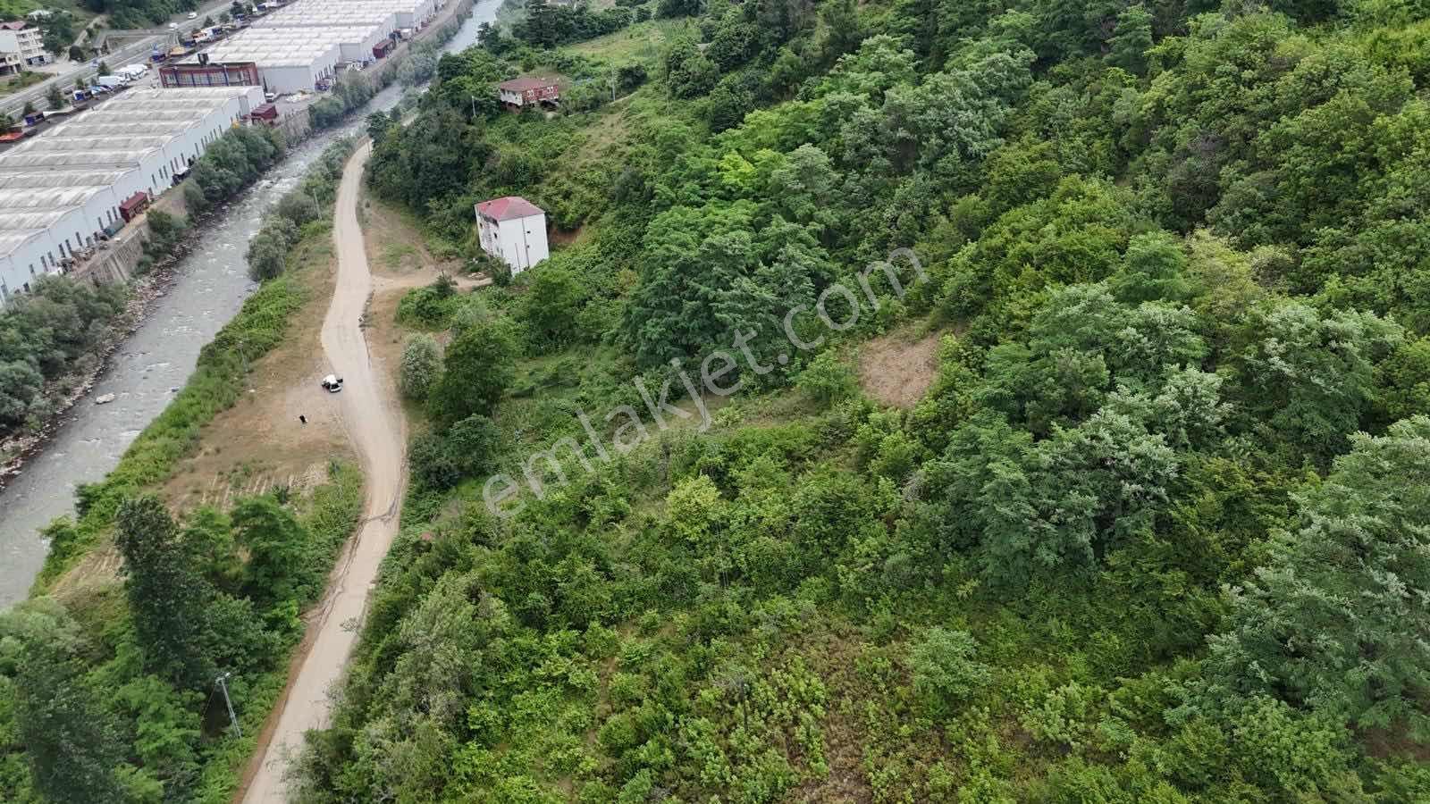 Esiroğlu'nda Satılık 3346 M2 Arsa - Görsel 10