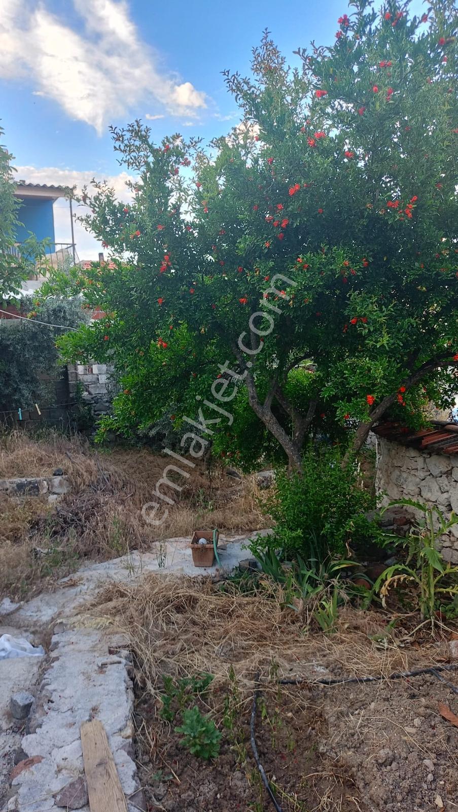 Bergama Koyuneli'nde Satılık Köy Evi - Görsel 18