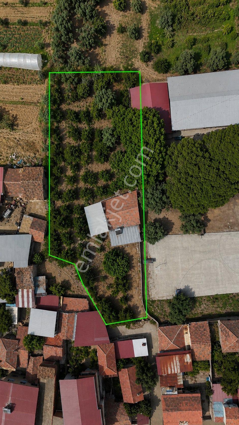 Aydın Kuyucak Sinekler Mahallesi’nde Satılık Müstakil Ev Ve Meyve Bahçesi - Görsel 15
