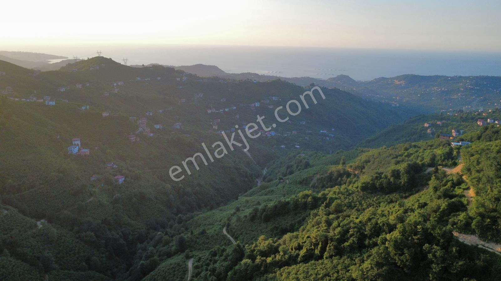 Trabzon Arsin'de Satılık Arazi - Görsel 26