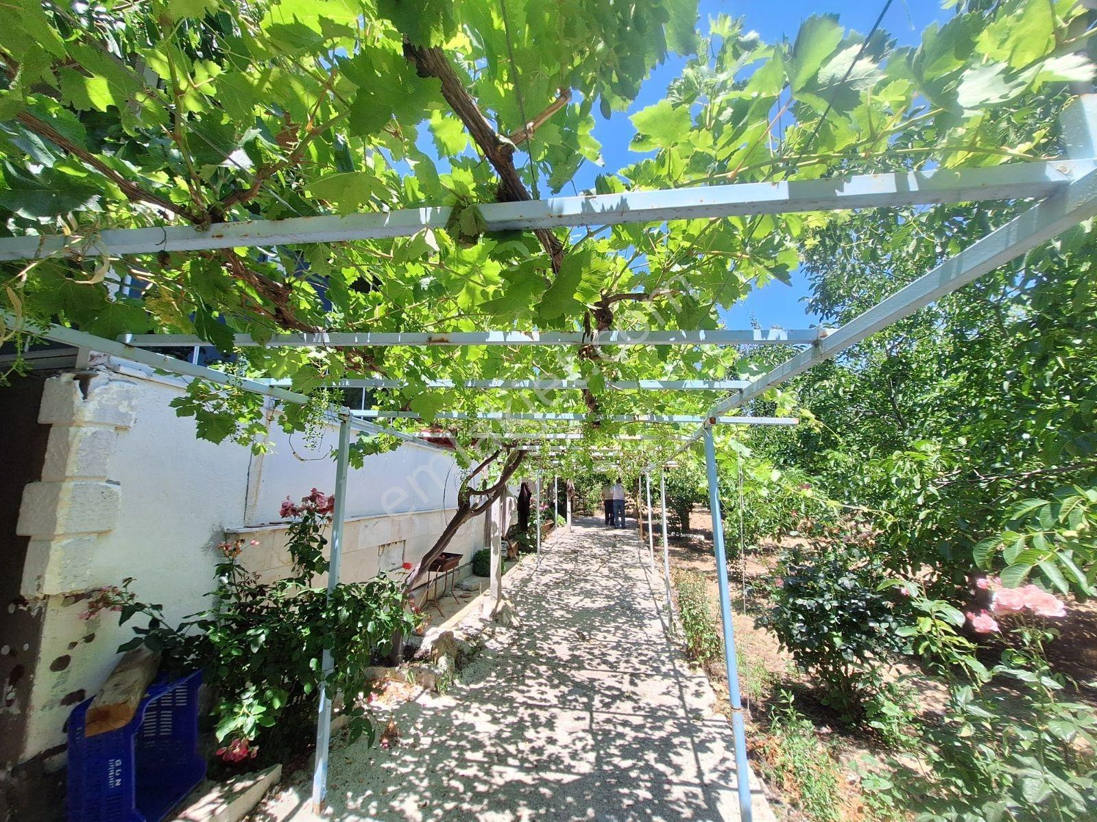 Nehirden Tavas Alınovada Satılık 21952 M2 Ceviz Bahçesi Ve Ev - Görsel 24