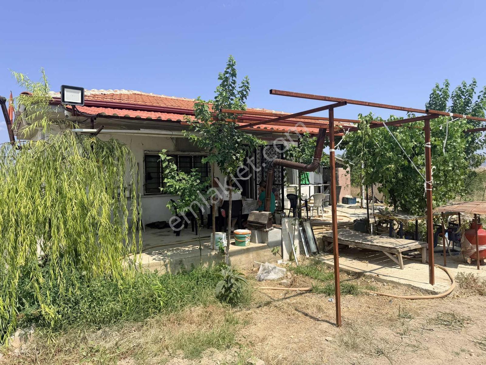 Sığma'da Elektriği Suyu Evü Olan Köşe Anayol Üstü Meyve Bahçemiz - Görsel 11