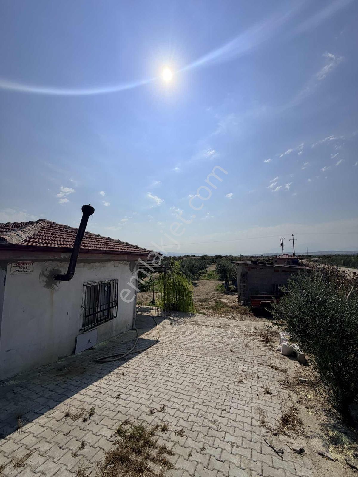 Sığma'da Elektriği Suyu Evü Olan Köşe Anayol Üstü Meyve Bahçemiz - Görsel 6