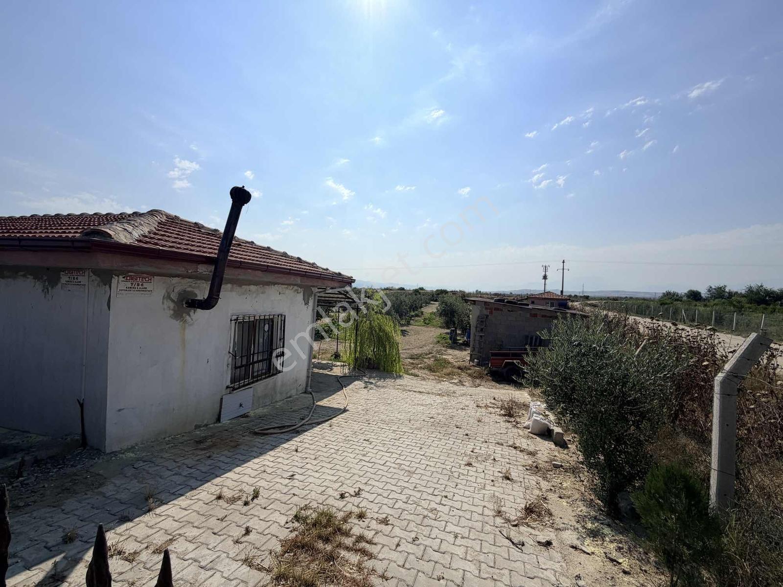 Sığma'da Elektriği Suyu Evü Olan Köşe Anayol Üstü Meyve Bahçemiz - Görsel 16